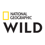 Logotyp: Nat Geo Wild HD