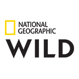 Logotyp: Nat Geo Wild