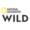 Logotyp: Nat Geo Wild
