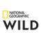 Logotyp: Nat Geo Wild HD